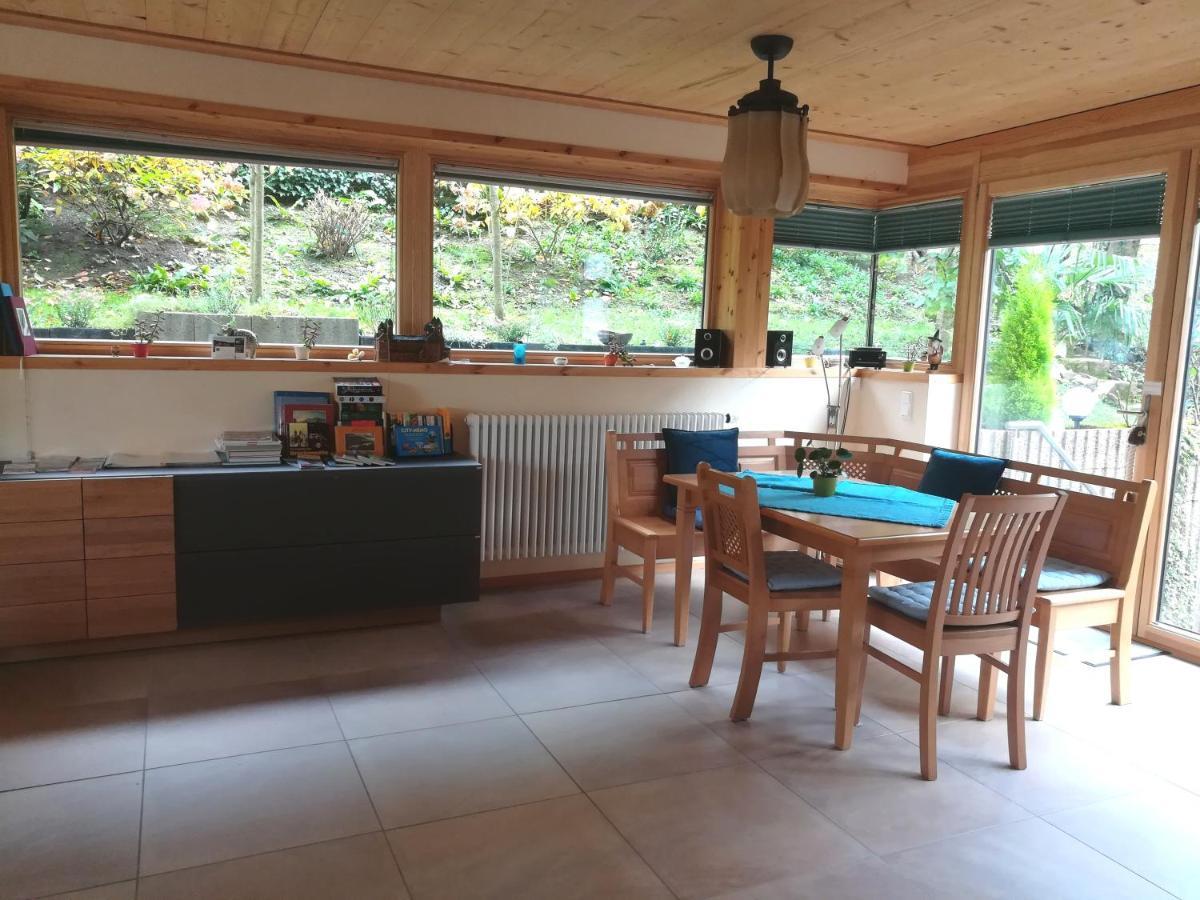 Nichtraucherferienwohnung-Neckarblick Ze-2022-74-Wz-118A Гайдельберг Екстер'єр фото