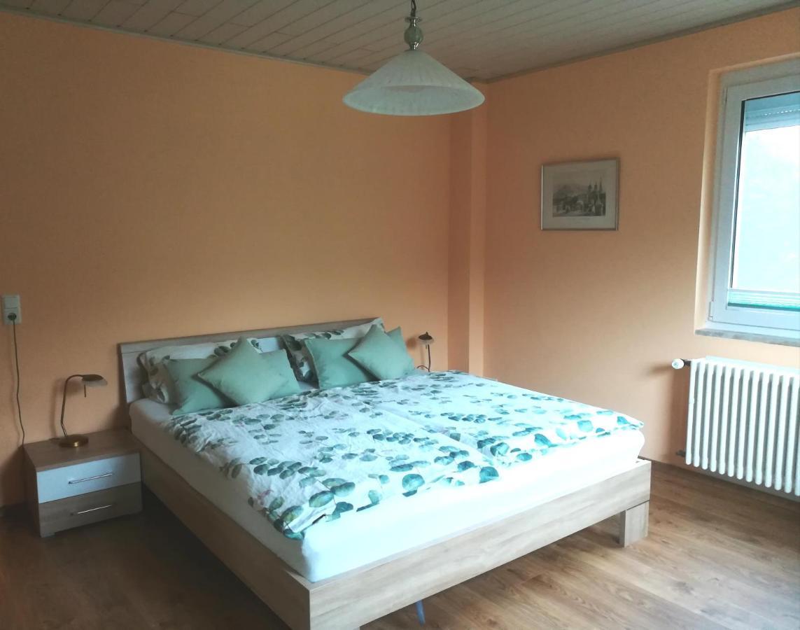 Nichtraucherferienwohnung-Neckarblick Ze-2022-74-Wz-118A Гайдельберг Екстер'єр фото