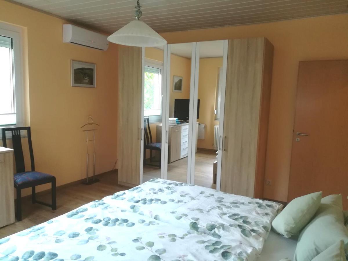 Nichtraucherferienwohnung-Neckarblick Ze-2022-74-Wz-118A Гайдельберг Екстер'єр фото