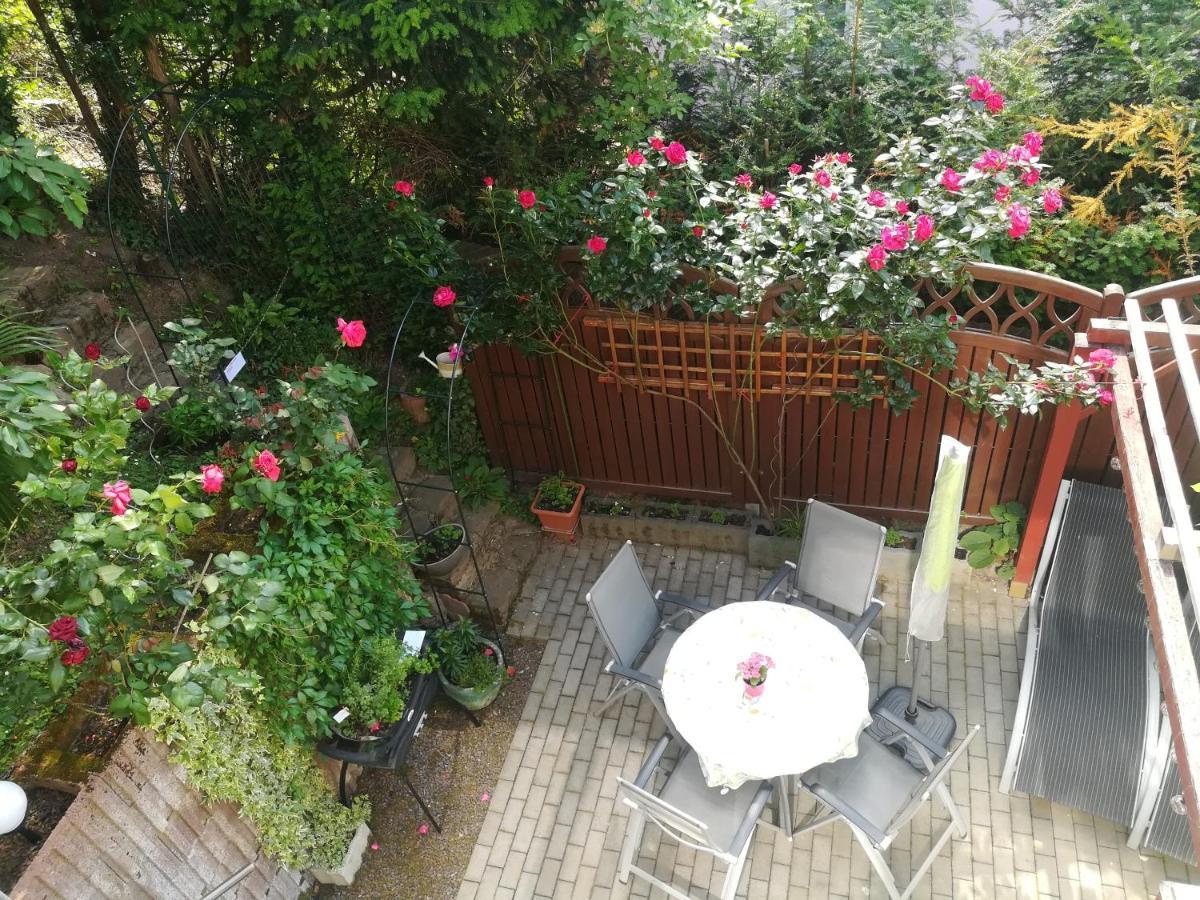 Nichtraucherferienwohnung-Neckarblick Ze-2022-74-Wz-118A Гайдельберг Екстер'єр фото