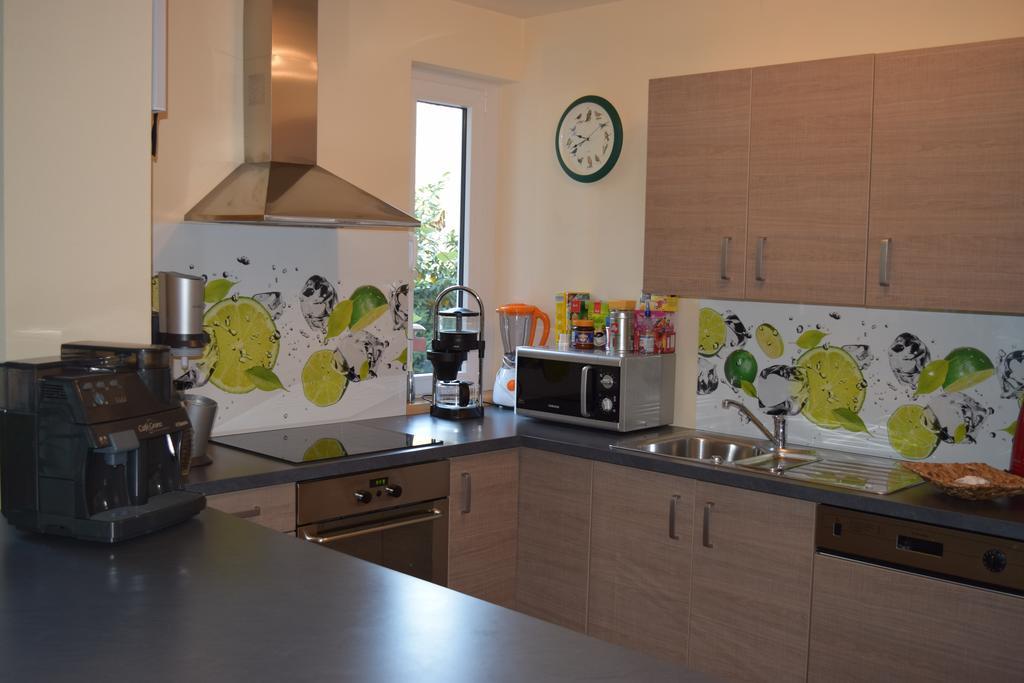 Nichtraucherferienwohnung-Neckarblick Ze-2022-74-Wz-118A Гайдельберг Екстер'єр фото