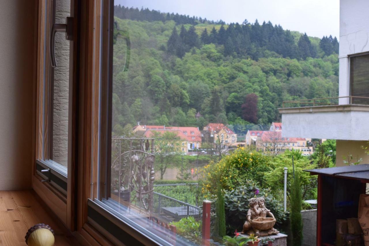 Nichtraucherferienwohnung-Neckarblick Ze-2022-74-Wz-118A Гайдельберг Екстер'єр фото