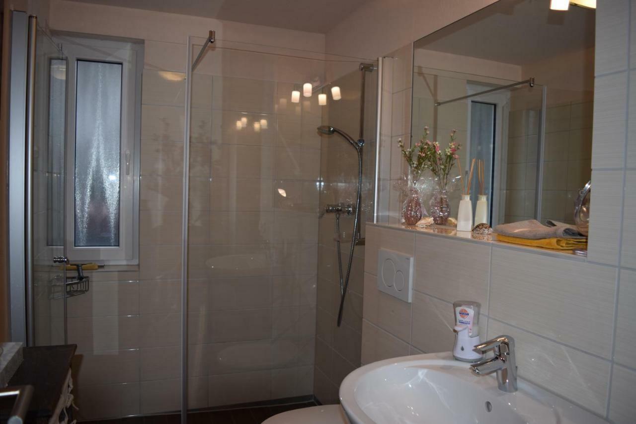Nichtraucherferienwohnung-Neckarblick Ze-2022-74-Wz-118A Гайдельберг Екстер'єр фото