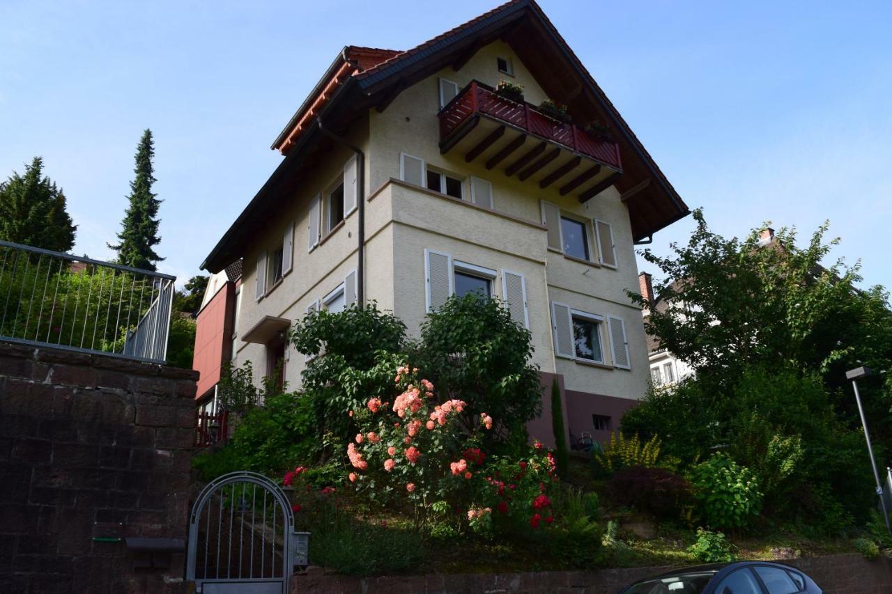 Nichtraucherferienwohnung-Neckarblick Ze-2022-74-Wz-118A Гайдельберг Екстер'єр фото