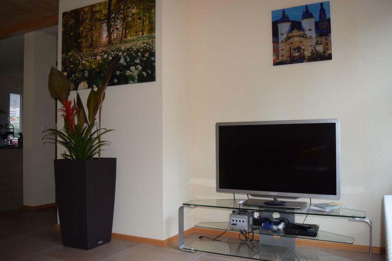 Nichtraucherferienwohnung-Neckarblick Ze-2022-74-Wz-118A Гайдельберг Екстер'єр фото