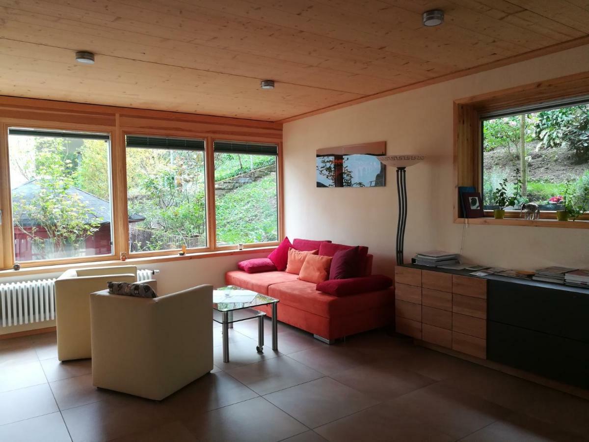 Nichtraucherferienwohnung-Neckarblick Ze-2022-74-Wz-118A Гайдельберг Екстер'єр фото